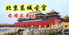 男女操中国北京-东城古宫旅游风景区